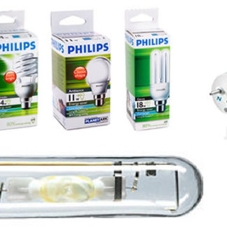Lampu